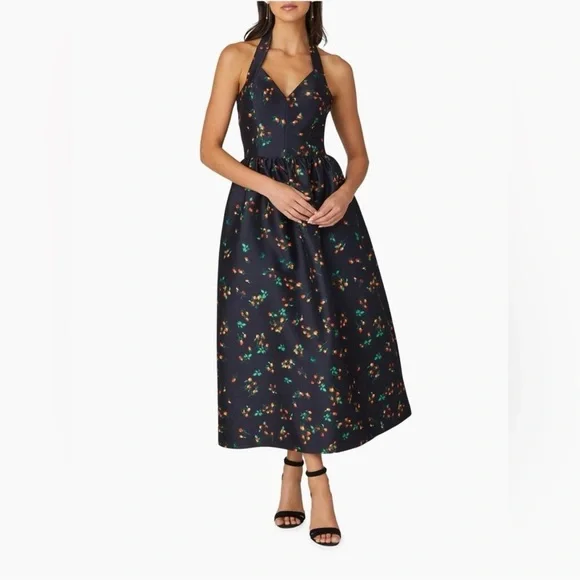 SHOSHANNA’s Midnight Georgia Elegant Midnight Floral Halter Dress
